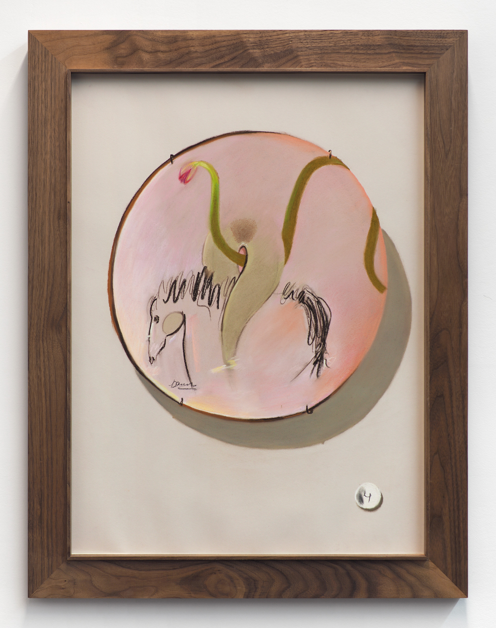 2017 – Tulip Erotica with Plate